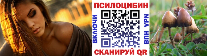 сколько стоит  Волжский  Галлюциногенные грибы Cubensis 