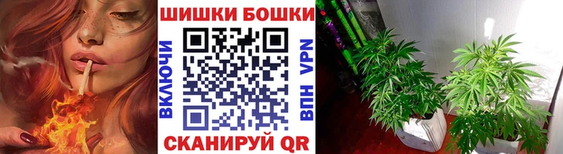 Конопля Bruce Banner  даркнет сайт  Волжский 